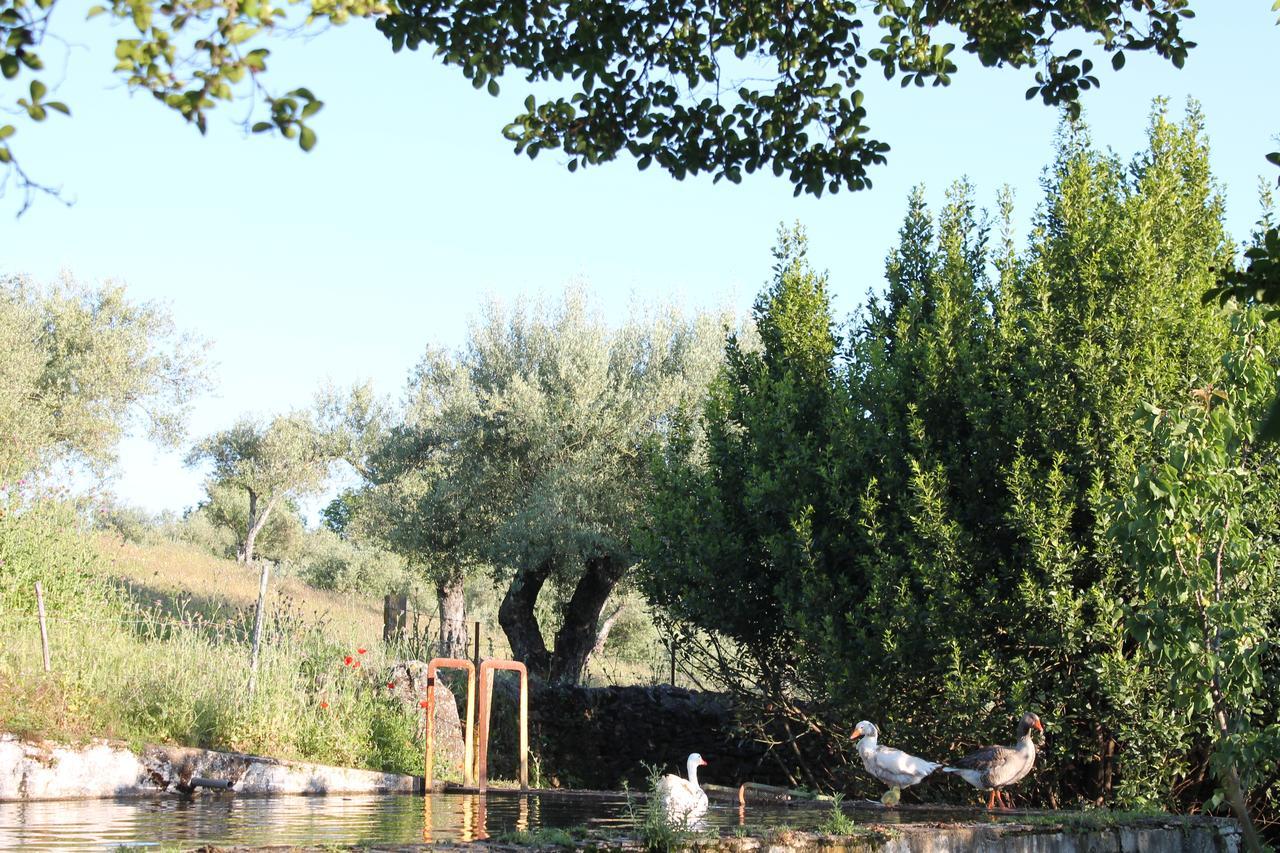 קונסטנטינה Finca La Carnicera מראה חיצוני תמונה