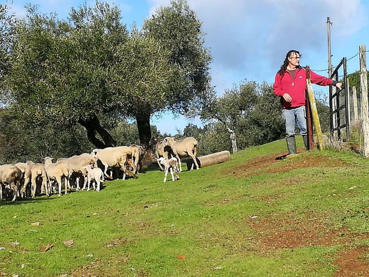 קונסטנטינה Finca La Carnicera מראה חיצוני תמונה