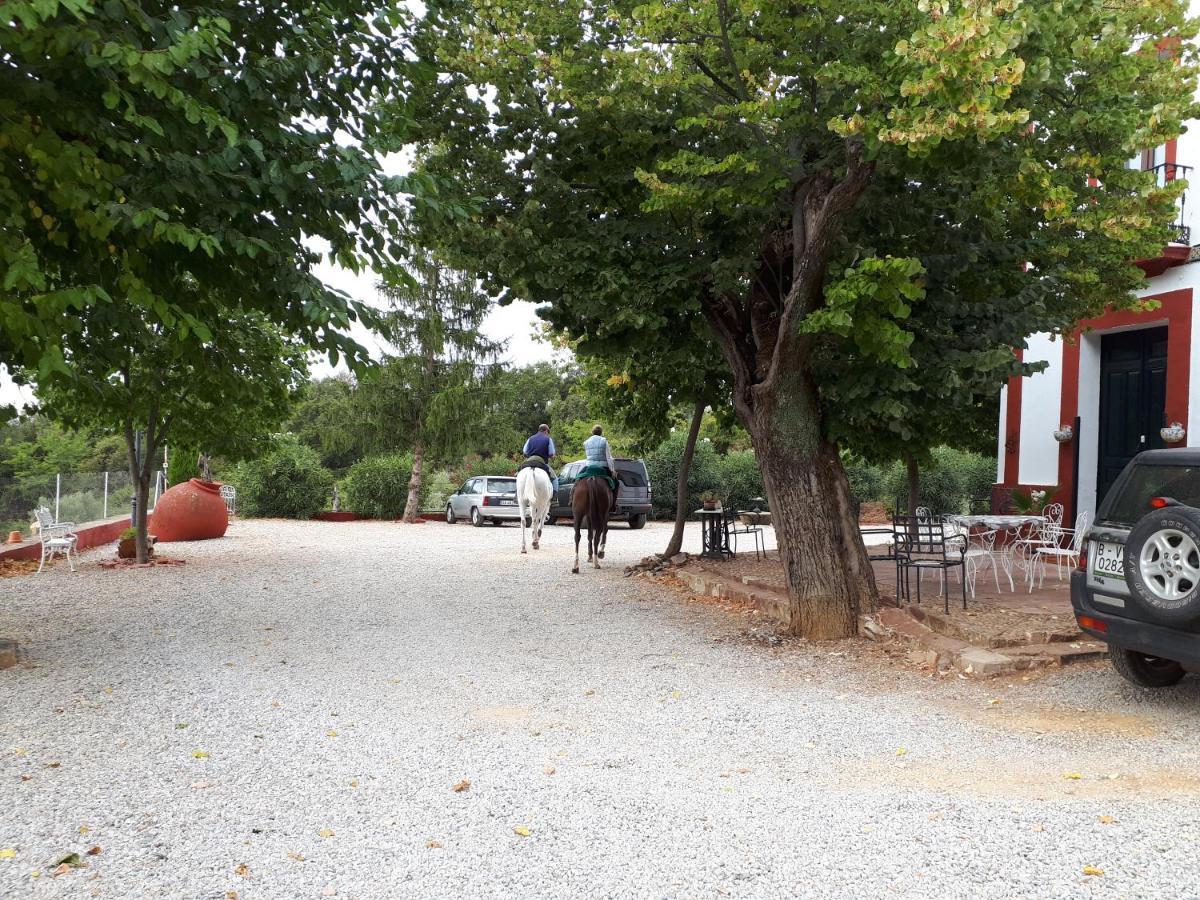 קונסטנטינה Finca La Carnicera מראה חיצוני תמונה