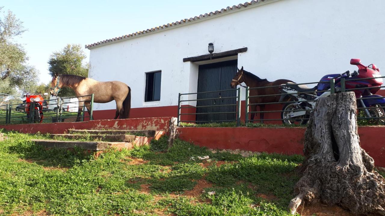 קונסטנטינה Finca La Carnicera מראה חיצוני תמונה