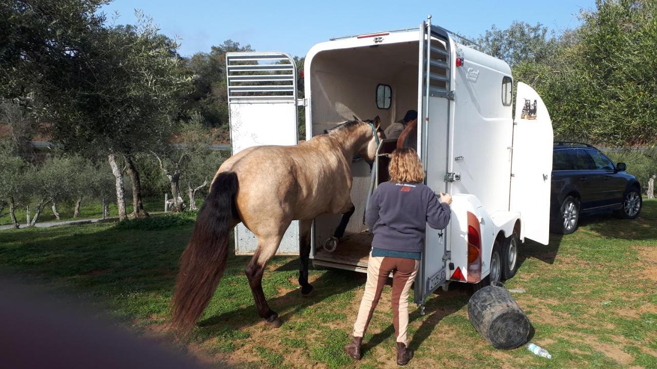 קונסטנטינה Finca La Carnicera מראה חיצוני תמונה