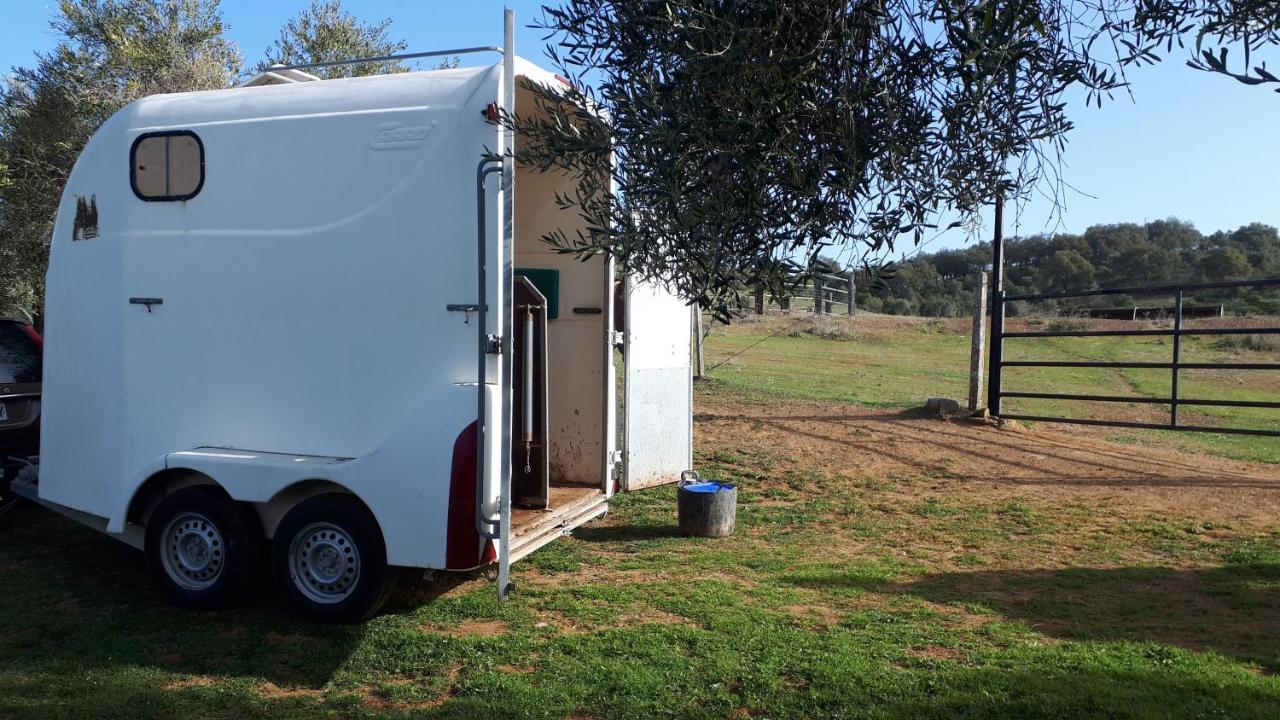 קונסטנטינה Finca La Carnicera מראה חיצוני תמונה